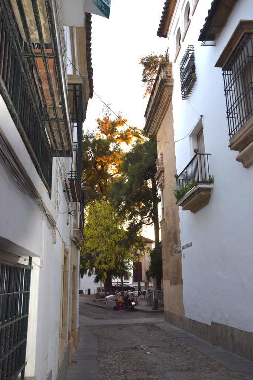 Centro Cordoba Apartaluz-8 Wifi Pk Zimmer foto