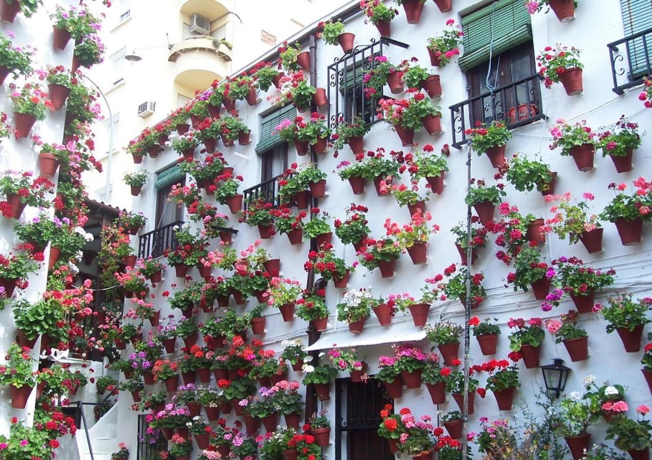 Centro Cordoba Apartaluz-8 Wifi Pk Exterior foto